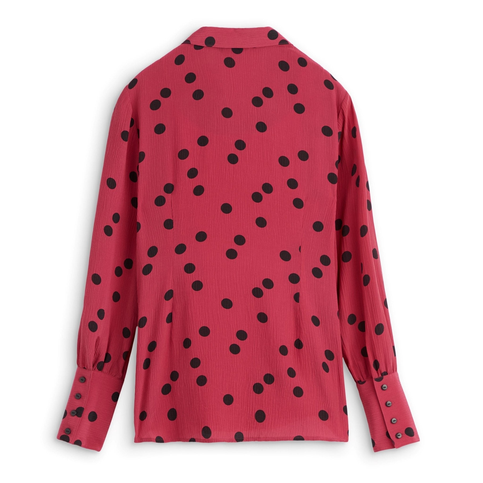 Raspberry